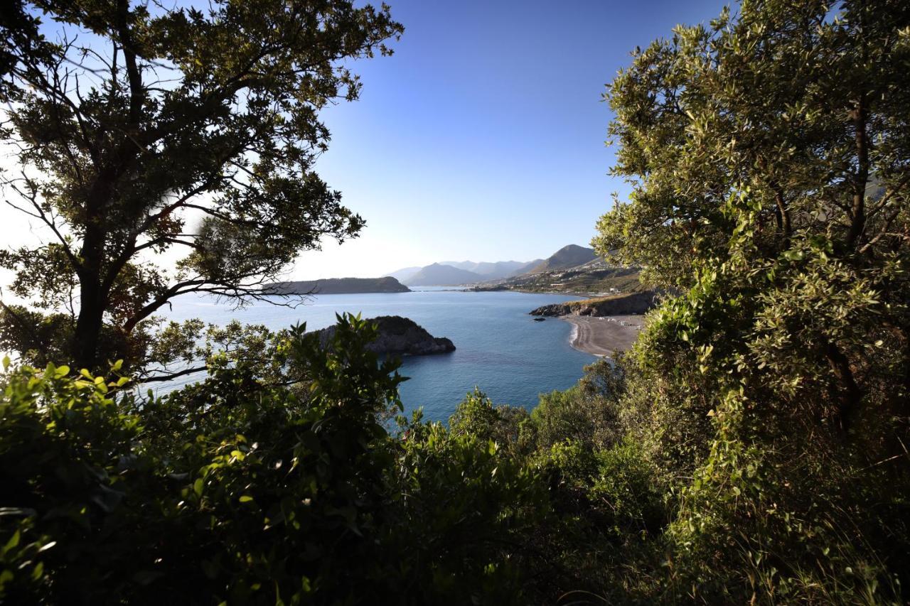 B&B Vannefora San Nicola Arcella Εξωτερικό φωτογραφία