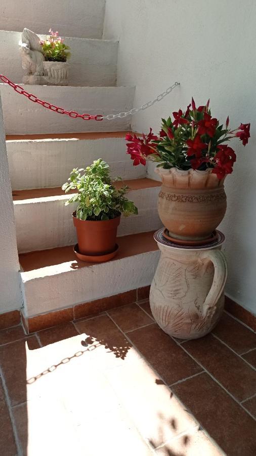 B&B Vannefora San Nicola Arcella Εξωτερικό φωτογραφία