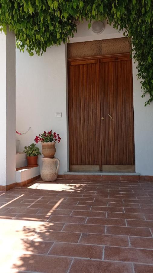 B&B Vannefora San Nicola Arcella Εξωτερικό φωτογραφία